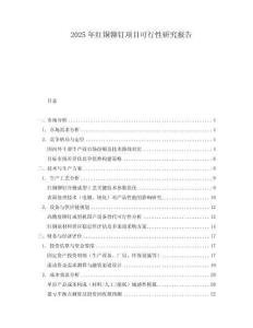 2025年紅銅鉚釘項(xiàng)目可行性研究報(bào)告