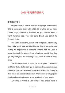 2025年英語四級作文