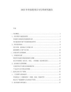 2025年傘齒輪項(xiàng)目可行性研究報(bào)告