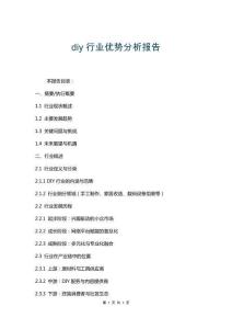 diy行業優勢分析報告