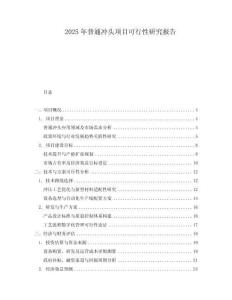 2025年普通沖頭項(xiàng)目可行性研究報(bào)告