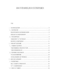2025年管內(nèi)噴頭項(xiàng)目可行性研究報(bào)告