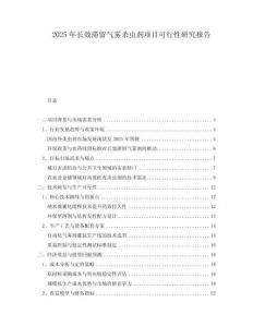 2025年長(zhǎng)效滯留氣霧殺蟲(chóng)劑項(xiàng)目可行性研究報(bào)告
