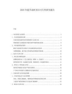 2025年提升渦桿項(xiàng)目可行性研究報(bào)告