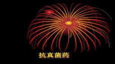 【皮膚病學(xué)與性病學(xué)診療】12抗真菌藥