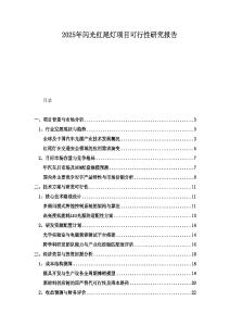 2025年閃光紅尾燈項(xiàng)目可行性研究報(bào)告