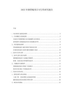2025年鋼塔桅項(xiàng)目可行性研究報(bào)告