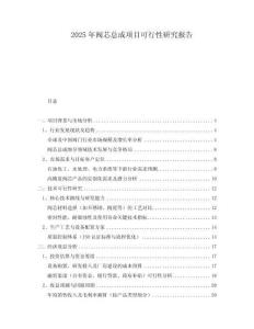 2025年閥芯總成項目可行性研究報告