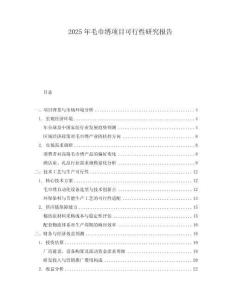 2025年毛巾繡項目可行性研究報告