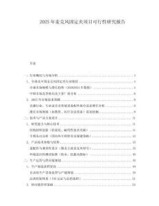 2025年麥克風(fēng)固定夾項目可行性研究報告