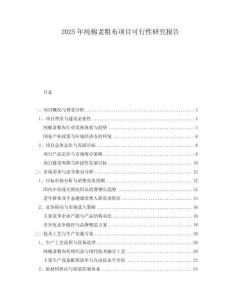 2025年純棉老粗布項目可行性研究報告