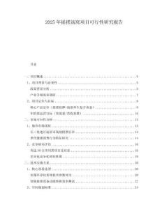 2025年搖擺湯窩項(xiàng)目可行性研究報(bào)告