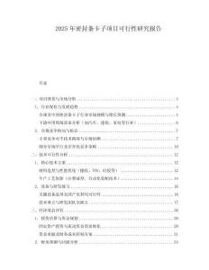 2025年密封條卡子項(xiàng)目可行性研究報告