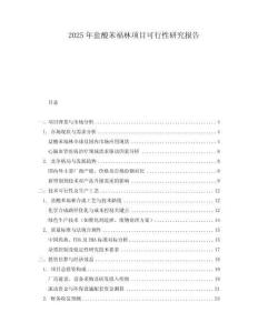 2025年鹽酸苯福林項(xiàng)目可行性研究報告