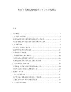 2025年硫酸頭孢喹肟項(xiàng)目可行性研究報(bào)告