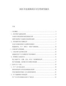 2025年琺瑯鍋?lái)?xiàng)目可行性研究報(bào)告