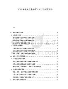 2025年旋風(fēng)收塵器項(xiàng)目可行性研究報(bào)告