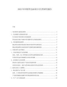 2025年印鐵罩光油項目可行性研究報告