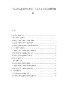 2025年八角錐型長臂信號燈標桿項目可行性研究報告