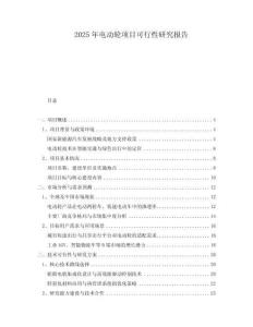 2025年電動(dòng)輪項(xiàng)目可行性研究報(bào)告