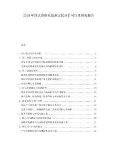 2025年擺式磨擦系數(shù)測(cè)定儀項(xiàng)目可行性研究報(bào)告