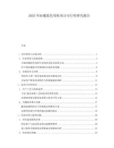 2025年硅橡膠色母粒項(xiàng)目可行性研究報(bào)告