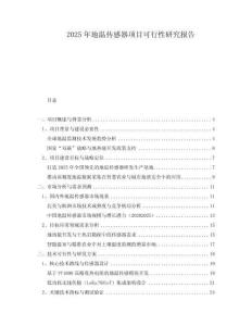 2025年地溫傳感器項(xiàng)目可行性研究報(bào)告