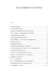 2025年氯化硫酰項(xiàng)目可行性研究報(bào)告