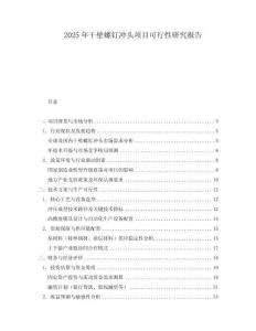 2025年干壁螺釘沖頭項(xiàng)目可行性研究報告