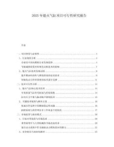 2025年熄火氣缸項目可行性研究報告