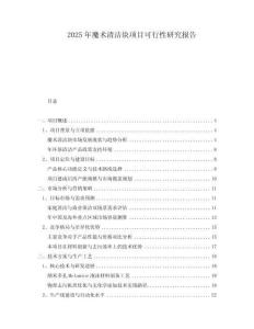2025年魔術(shù)清潔塊項(xiàng)目可行性研究報(bào)告