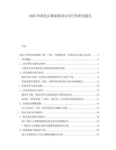 2025年彩色后視系統(tǒng)項(xiàng)目可行性研究報(bào)告