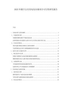 2025年樓宇公共用電均分器項目可行性研究報告