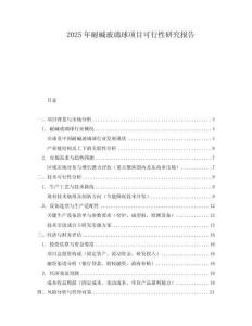 2025年耐堿玻璃球項目可行性研究報告