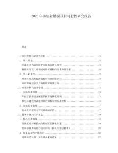 2025年防輻射鉛板項(xiàng)目可行性研究報(bào)告