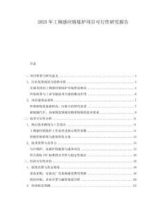 2025年工頻感應(yīng)熔煉爐項(xiàng)目可行性研究報(bào)告
