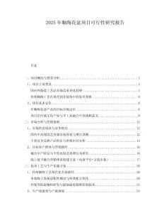 2025年釉陶花盆項目可行性研究報告