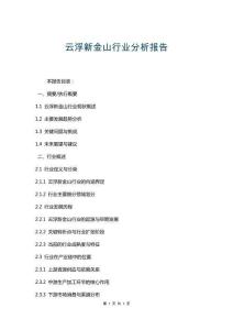 云浮新金山行業分析報告