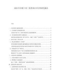 2025年并聯(lián)V形三角帶項(xiàng)目可行性研究報(bào)告