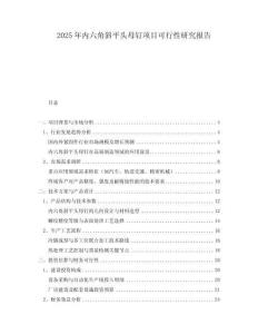 2025年內(nèi)六角斜平頭母釘項(xiàng)目可行性研究報(bào)告