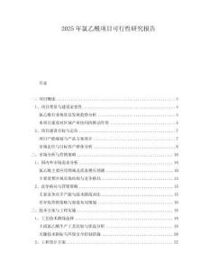 2025年氯乙酰項(xiàng)目可行性研究報(bào)告