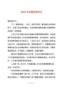 2025年★梅花的作文
