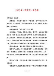 2025年《尋寶記》讀后感