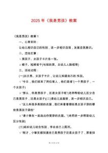 2025年《我是男孩》教案