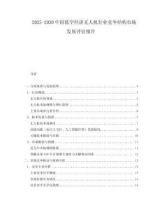 2025-2030中國(guó)低空經(jīng)濟(jì)無(wú)人機(jī)行業(yè)競(jìng)爭(zhēng)結(jié)構(gòu)市場(chǎng)發(fā)展評(píng)估報(bào)告