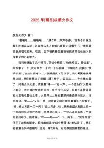 2025年[精品]放煙火作文