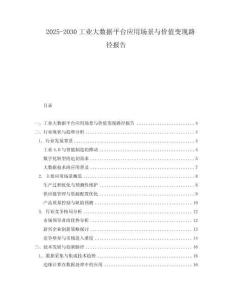 2025-2030工業(yè)大數(shù)據(jù)平臺(tái)應(yīng)用場(chǎng)景與價(jià)值變現(xiàn)路徑報(bào)告