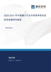 2025-2031年中國婚介行業市場競爭現狀及投資戰略研判報告