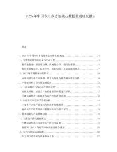 2025年中國專用多功能鎖芯數(shù)據(jù)監(jiān)測研究報告