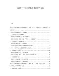2025年中國風(fēng)擋數(shù)據(jù)監(jiān)測研究報告